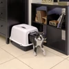 Kép 5/5 - FERPLAST Macska Alomtál - Fedeles Filteres Clear Cat 10 Toilett Wc