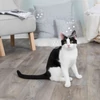 Kép 4/6 - TRIXIE Macska Játék - Catnip Buborékfújó 120ml /42425/