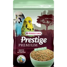 Papagáj Hullámos