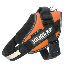JULIUS-K9 Kutya Hám - IDC Powerhám (29-36cm, 0,8-3kg) Baby 1. UV Narancssárga