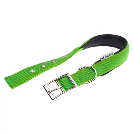 FERPLAST Kutya Nyakörv - Daytona C 37-45/2cm Zöld