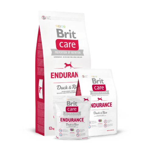 BRIT Care Kutyatáp - Adult Endurance 12kg