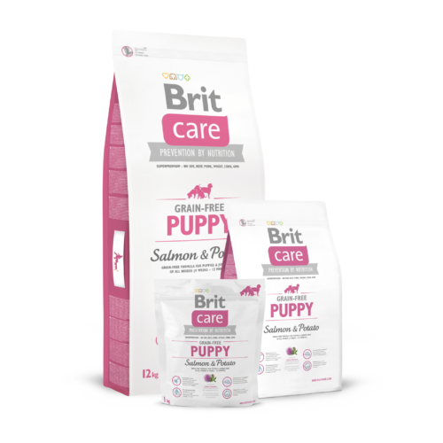 BRIT Care Kutyatáp - Grain Free Puppy Salmon & Potato 12kg