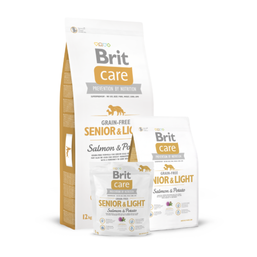 BRIT Care Kutyatáp - Grain Free Senior Salmon & Potato 12kg