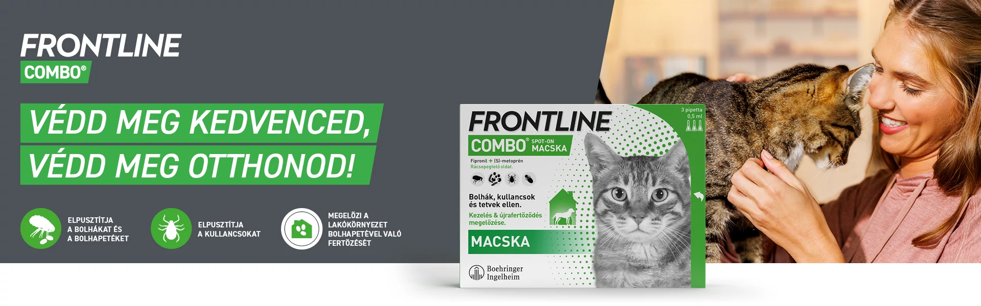 Frontline Combo Macska